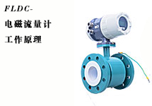 西森·中國:FLDC系列電磁流量計(jì)工作原理
